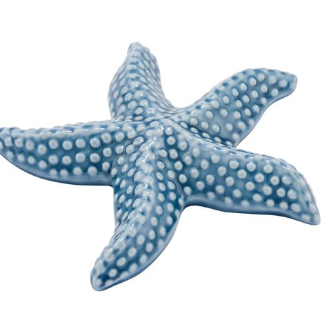 GEHL STARFISH BLUE