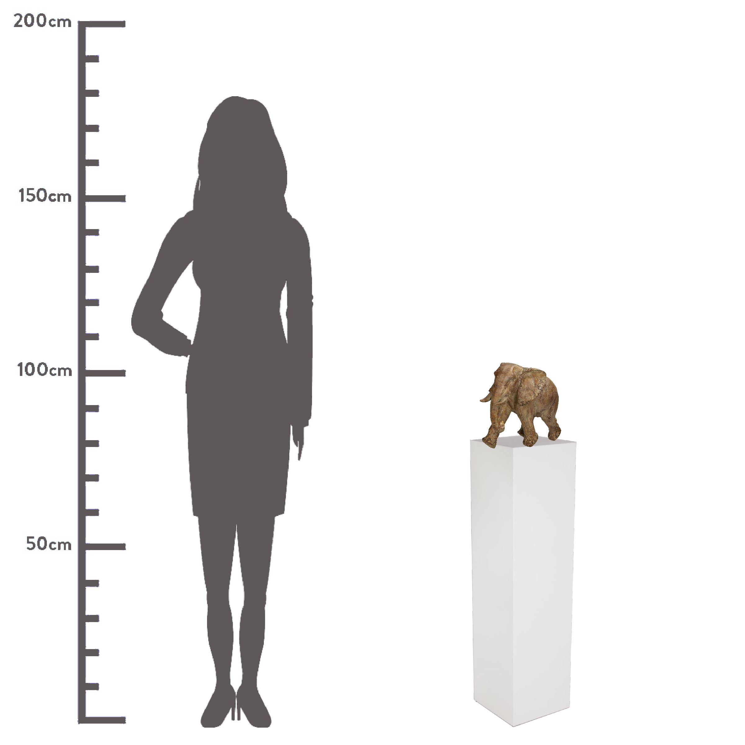 Elephant Brown
