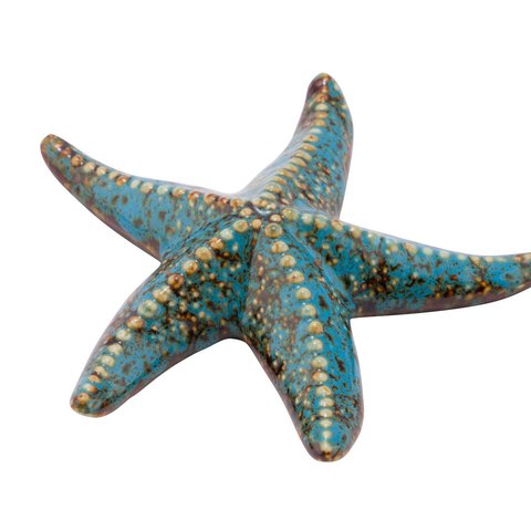 GEHL STARFISH BROWN/TURQUOISE LARGE