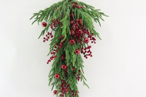 Xmas T'Trop Norfolk With Red Berries