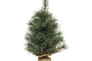 Xmas Mini Tree Stand Green