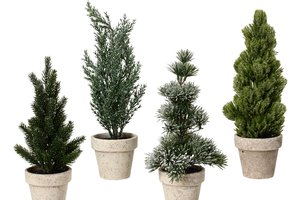 Xmas Mini Tree In Pot