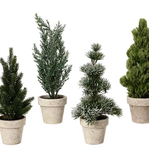 Xmas Mini Tree In Pot