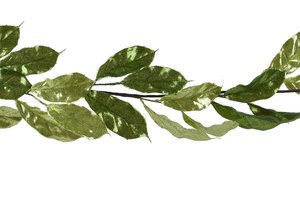 Xmas Garland Leaf