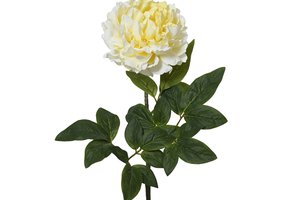 Peony With Leaf Deco