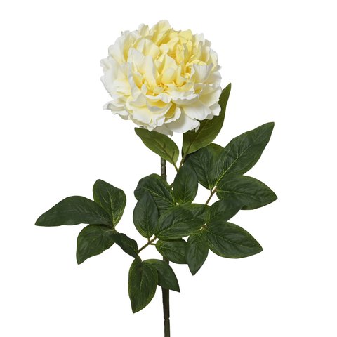 Peony With Leaf Deco