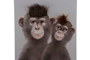 Canvas Monkyes With Plush