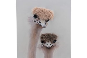 Canvas Ostriches With Plush