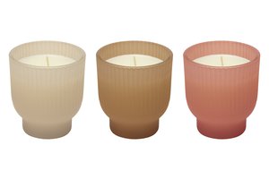 Scented Candle Honyesuckle