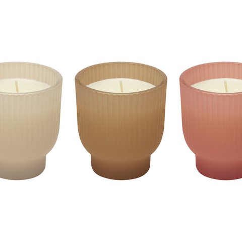 Scented Candle Honyesuckle