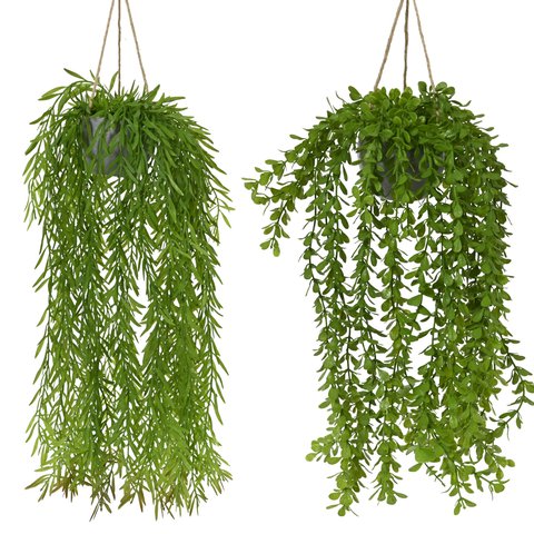 Hanging Willow In Pot