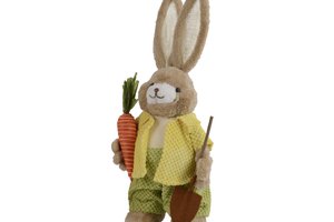 Bunny Holding Carrot And Shovel