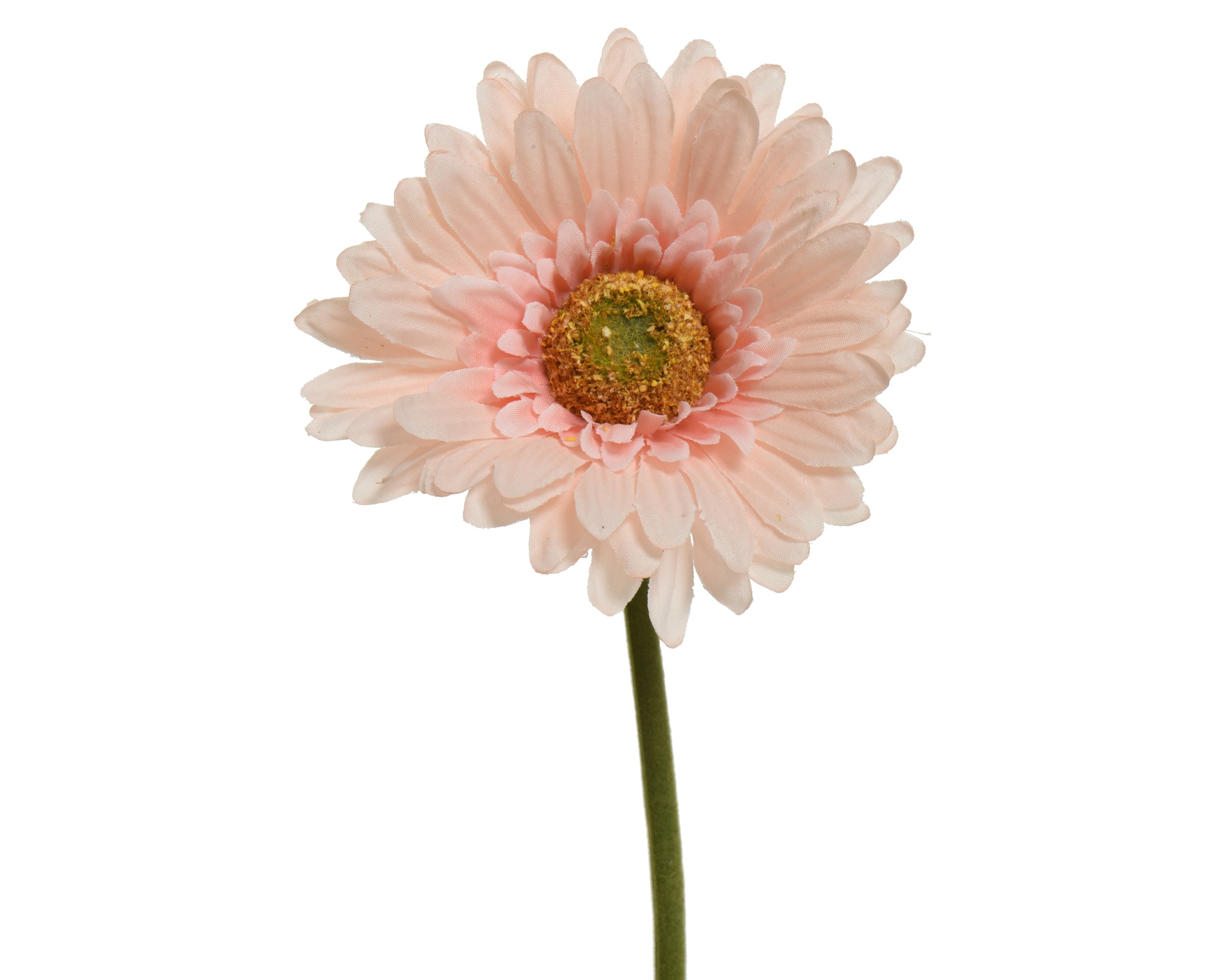 Gerbera Pink