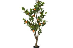 Orange Tree