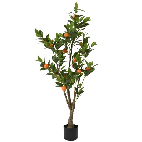 Orange Tree