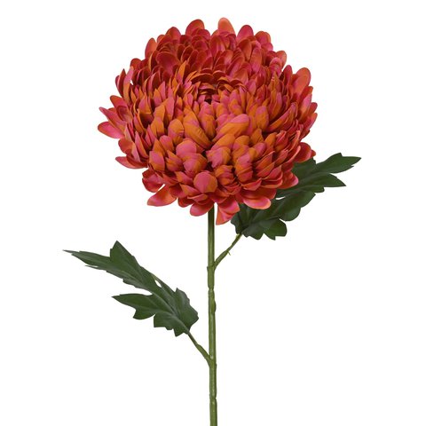 Chrysanthemum Spray