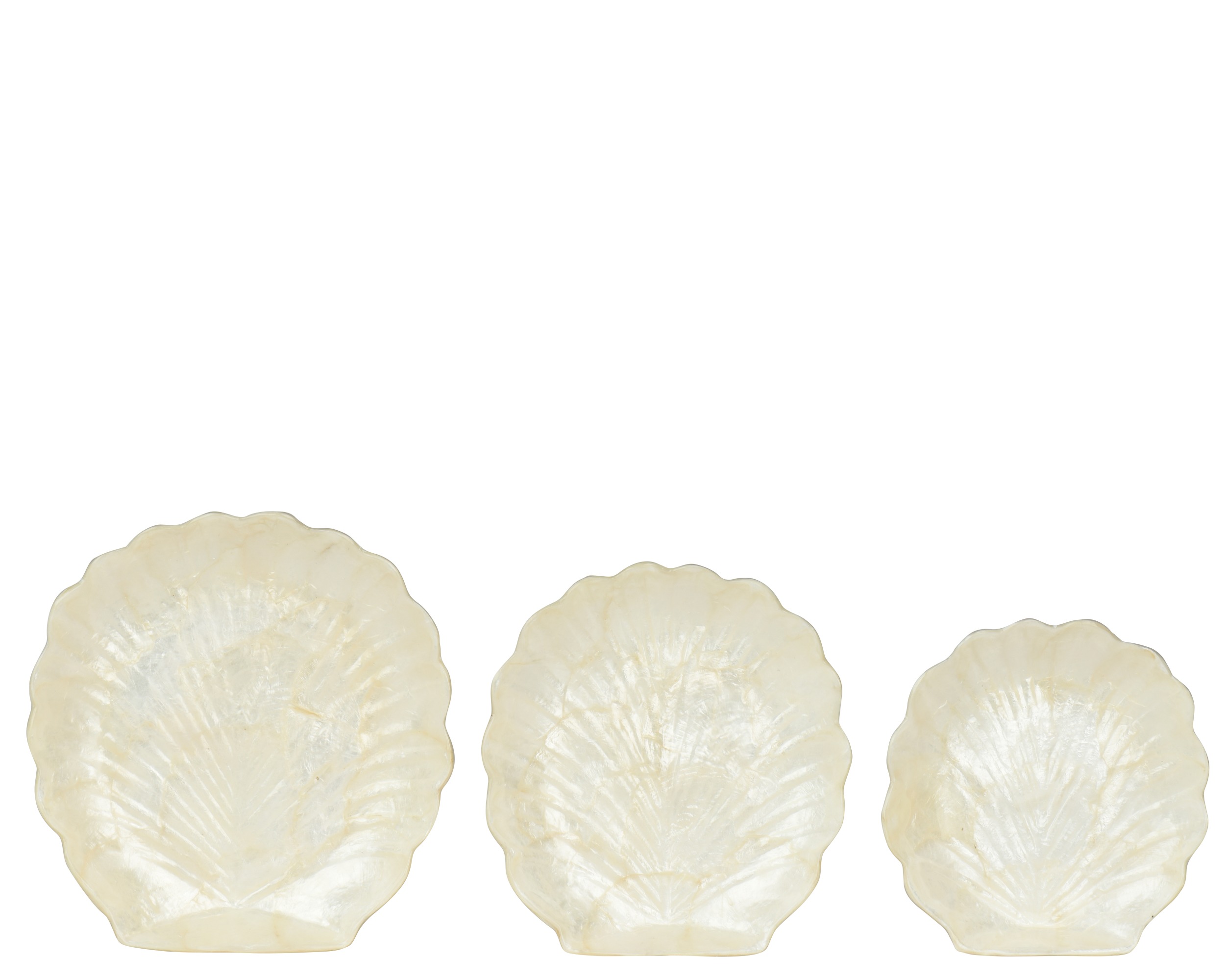 Plate Shell Shape Capiz