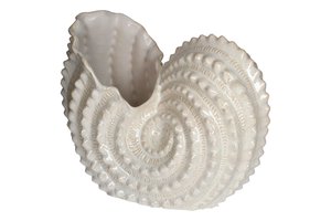Vase Shell Shape White