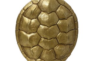 Vase Turtle Shape